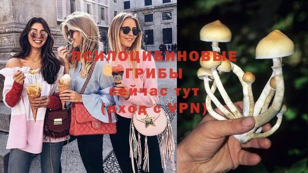 соль ск Волосово